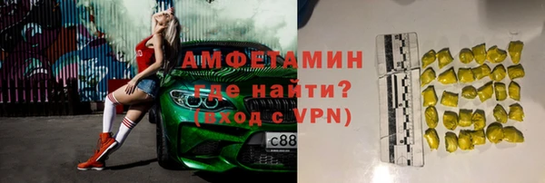 индика Нея