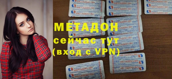 индика Нея