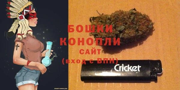 индика Нея