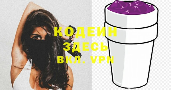 индика Нея