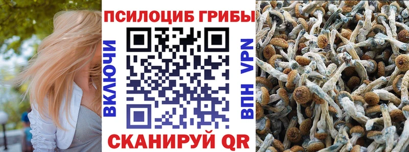 цена наркотик  Чишмы  Галлюциногенные грибы Psilocybine cubensis 